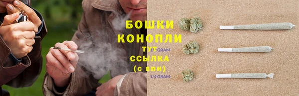 молекула духа Баксан