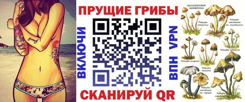 Галлюциногенные грибы мицелий  shop формула  Сухой Лог 
